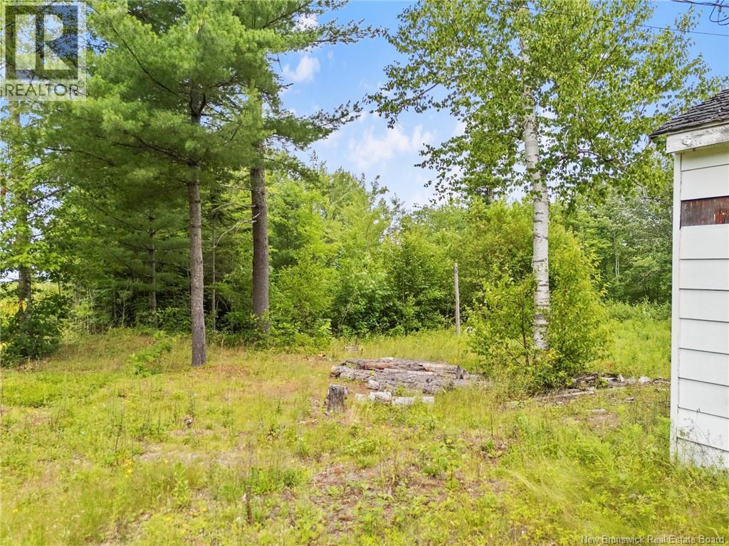 241 Fowler Road - 19