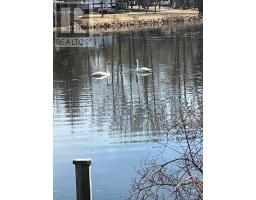 S4 - 7489 Sideroad 5 E, Wellington North, ON N0G2L0 Photo 31