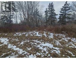 Highway 1, Lower Saulnierville, NS B0W2Z0 Photo 10