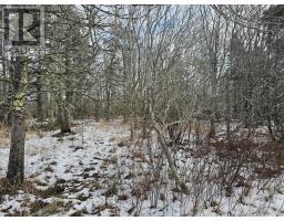 Highway 1, Lower Saulnierville, NS B0W2Z0 Photo 8
