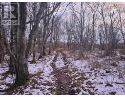 Highway 1, Lower Saulnierville, NS B0W2Z0 Photo 9