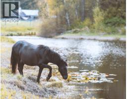 7634 Seven O'clock Drive, Pemberton, BC V0N2L3 Photo 35