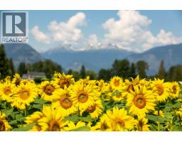 7634 Seven O'clock Drive, Pemberton, BC V0N2L3 Photo 37