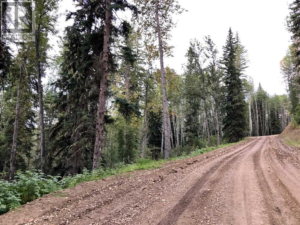 14 14 Wapiti River - Photo 5