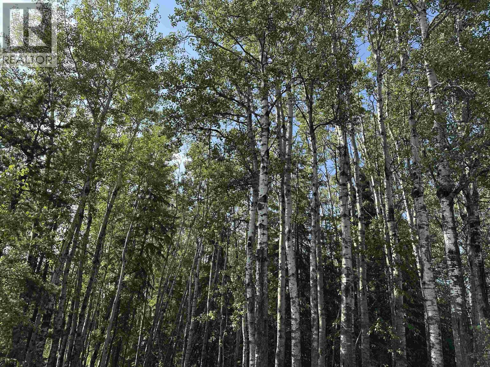 4295 BERYL PRAIRIE ROAD, Hudsons Hope