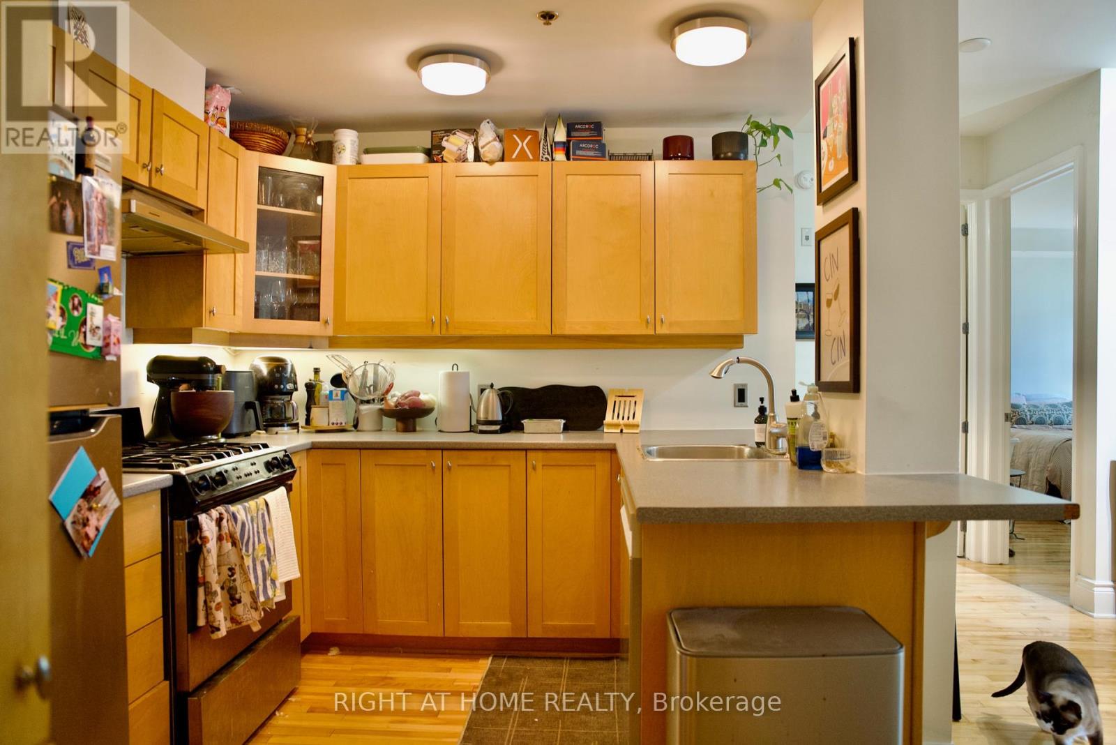House for Rent in Ottawa – 109 – 400 MCLEOD STREET, Ottawa – By Peter Sagos - Image 8
