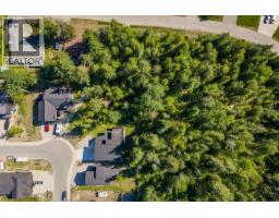 1005 Williams Gate Lane, Revelstoke, BC V0E2S1 Photo 76