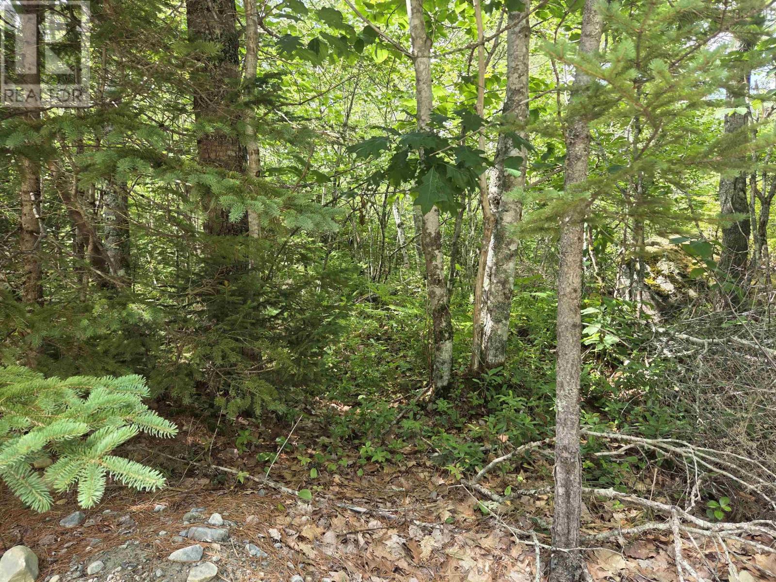 Property 16 of 16 of Lot 16 Lake Drive