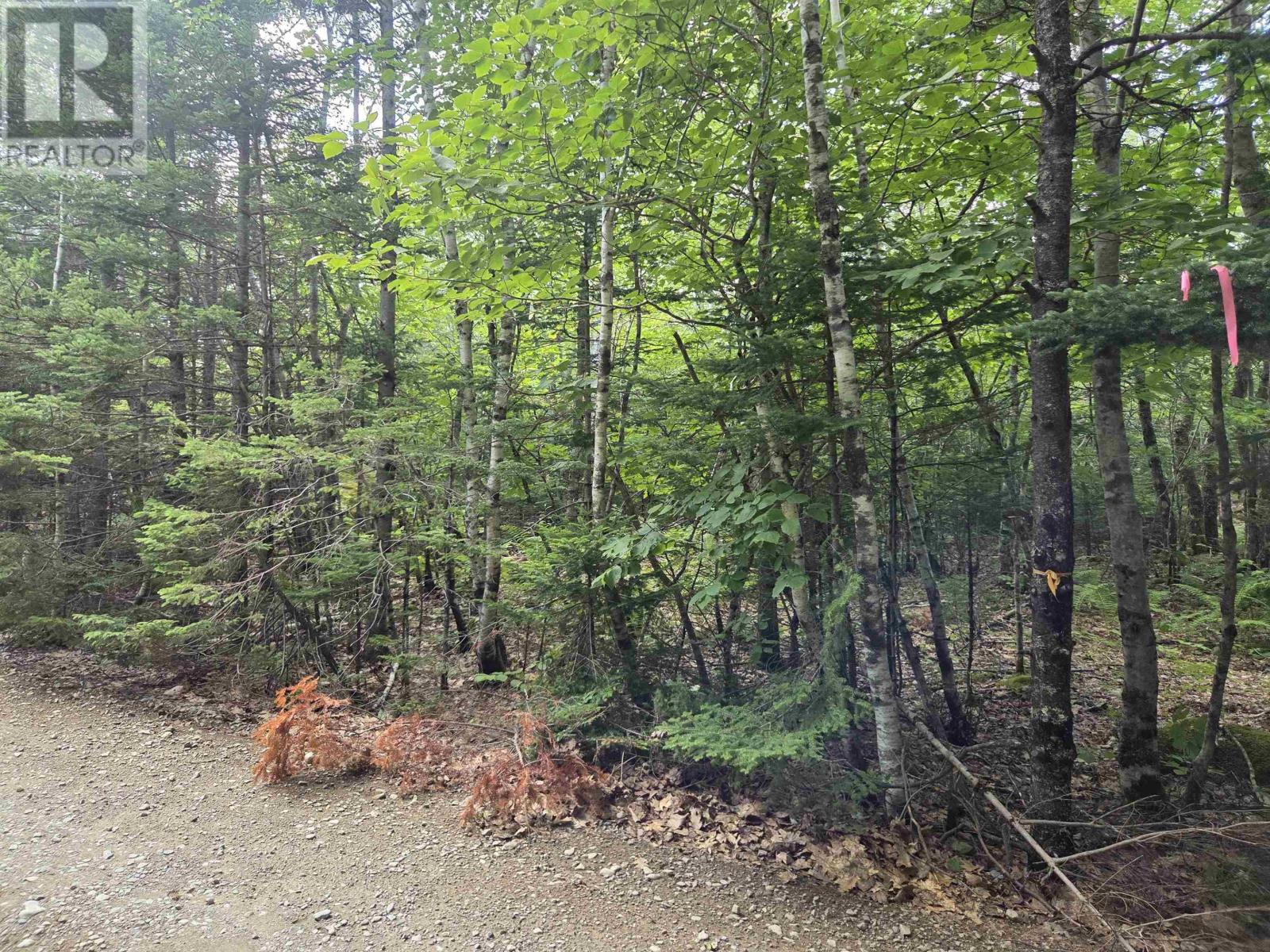 Property 14 of 16 of Lot 16 Lake Drive