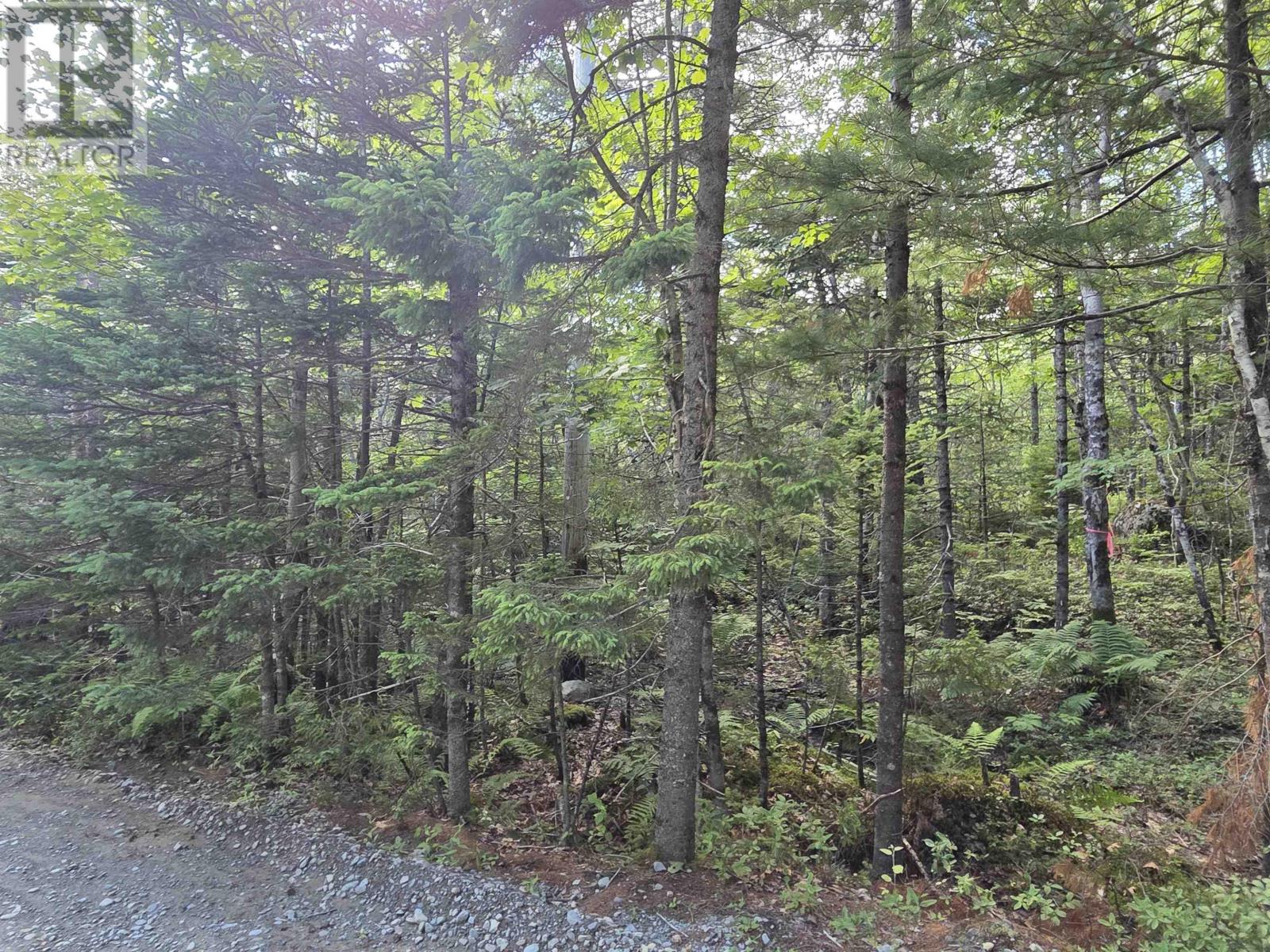 Property 4 of 5 of Lot 15 Lake Drive