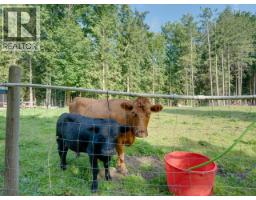 10440 Kelly Creek Road, Powell River, BC V8A0P1 Photo 40