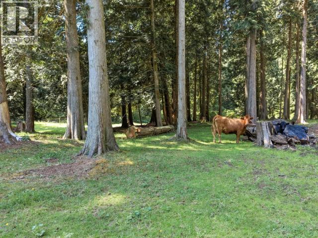 10440 KELLY CREEK ROAD - 91