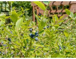 10440 Kelly Creek Road, Powell River, BC V8A0P1 Photo 83