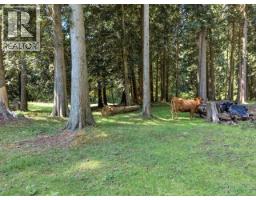 10440 Kelly Creek Road, Powell River, BC V8A0P1 Photo 91
