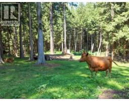 10440 Kelly Creek Road, Powell River, BC V8A0P1 Photo 90