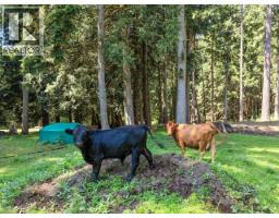 10440 Kelly Creek Road, Powell River, BC V8A0P1 Photo 89
