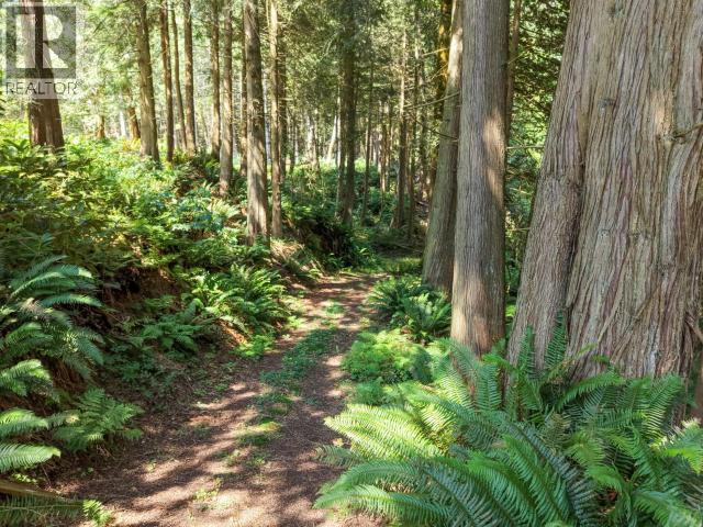 10440 KELLY CREEK ROAD - 84
