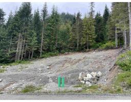 20689 Edelweiss Drive, Mission, BC V0M1A1 Photo 9