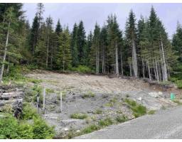 20689 Edelweiss Drive, Mission, BC V0M1A1 Photo 7