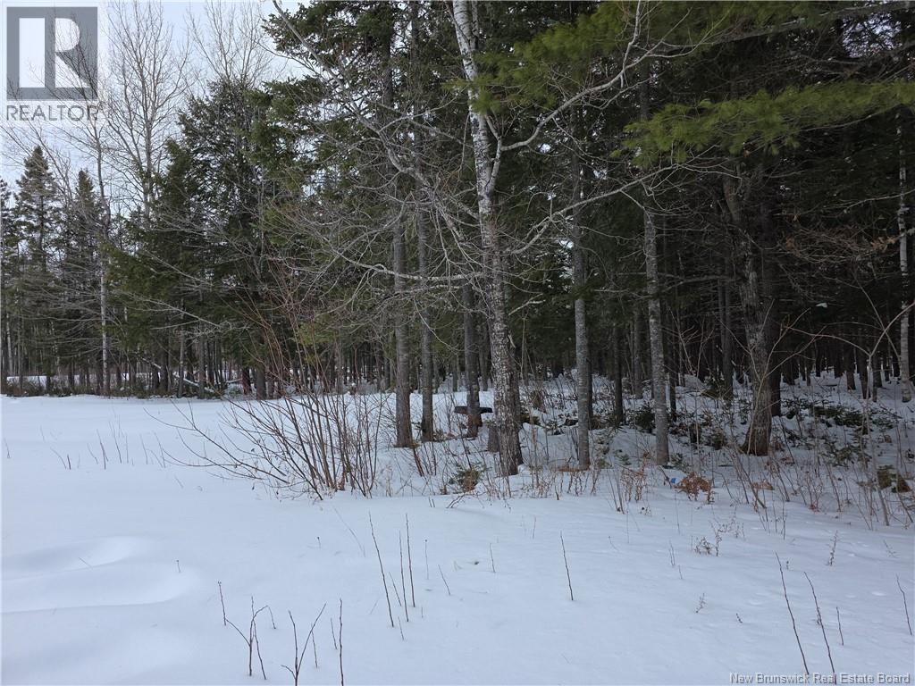 534 Cormier Village Bye Road - 28