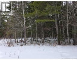 534 Cormier Village Bye Road, Cocagne, NB E4R3B6 Photo 27