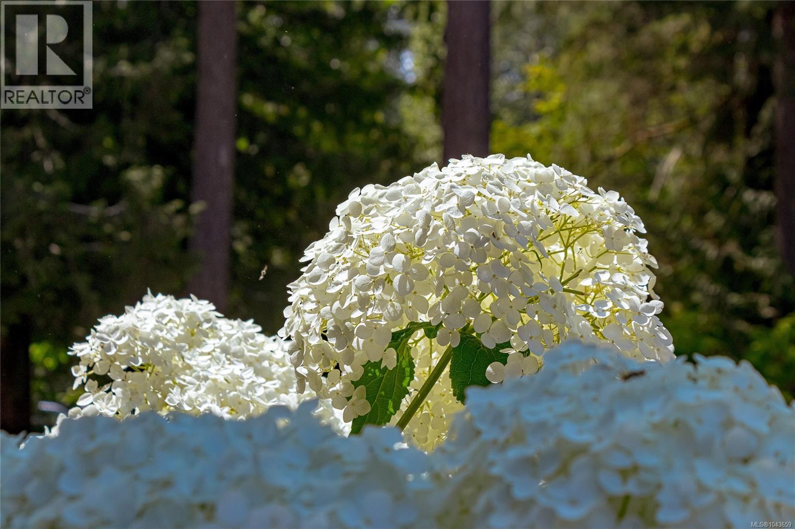 5605 River Valley Rd - 41