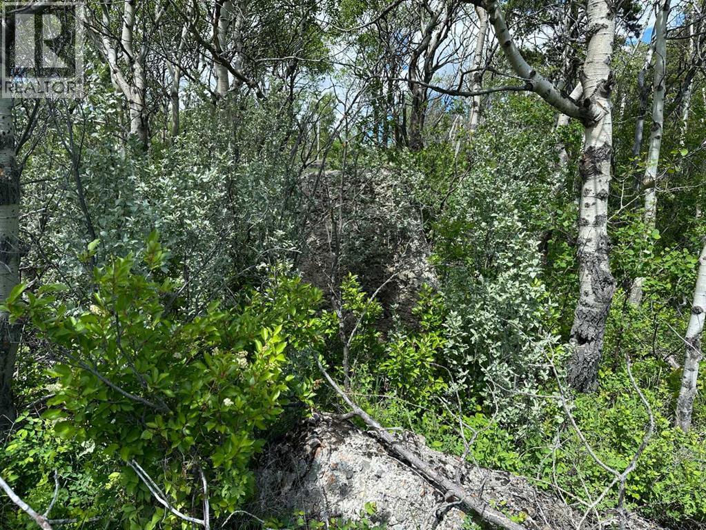 21 East of 150 St. Street - Photo 6