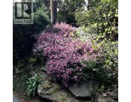 250 South Bank Dr, Salt Spring, BC V8K1M7 Photo 38