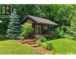 1355 Bellwood Acres Road, Lake Of Bays, ON P0A1E0 Photo 41