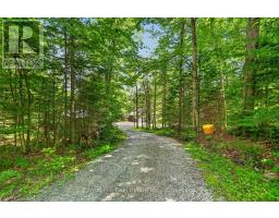 1355 Bellwood Acres Road, Lake Of Bays, ON P0A1E0 Photo 46