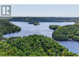 1355 Bellwood Acres Road, Lake Of Bays, ON P0A1E0 Photo 48