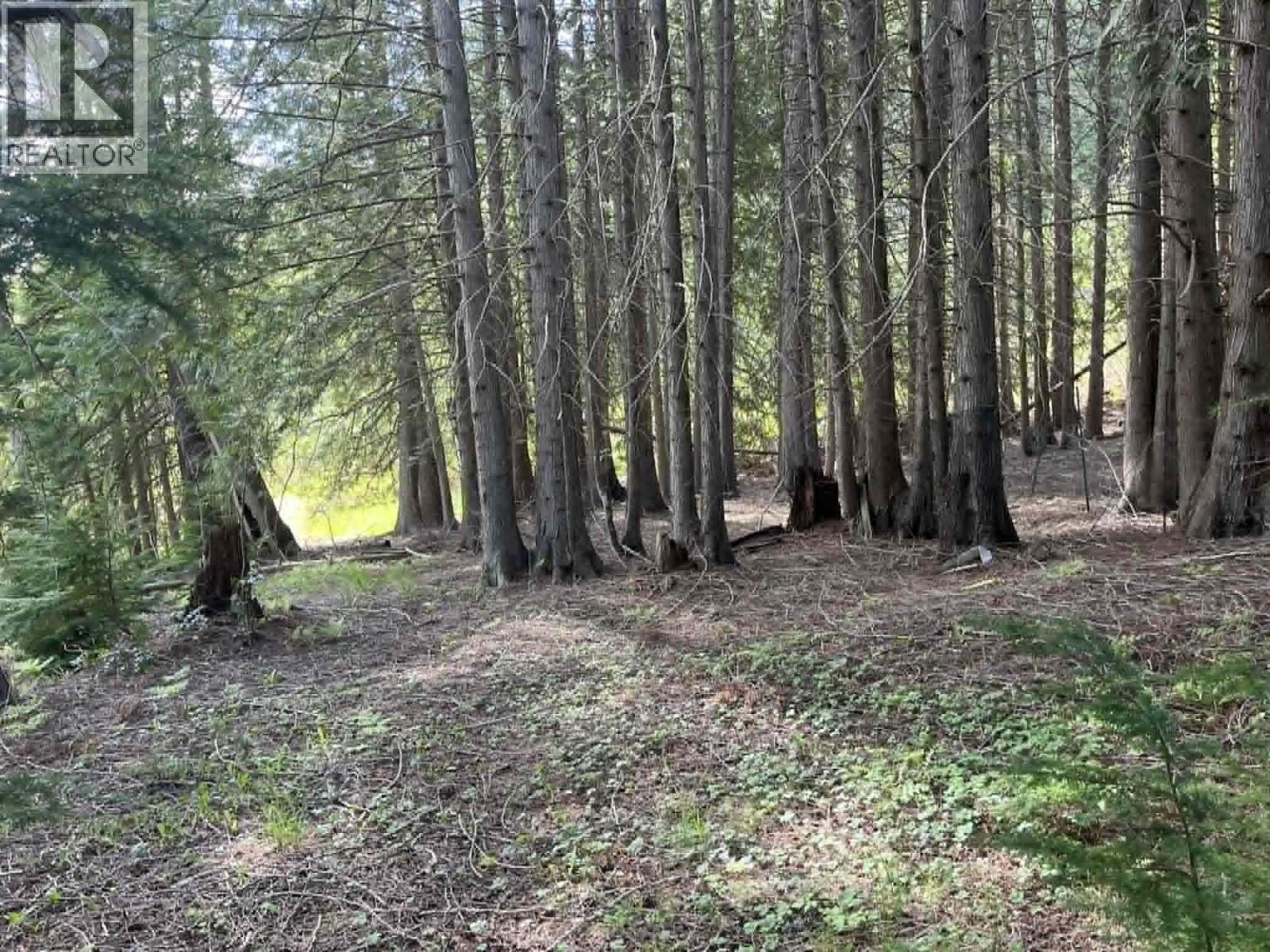 4421 Slocan River Road - 23