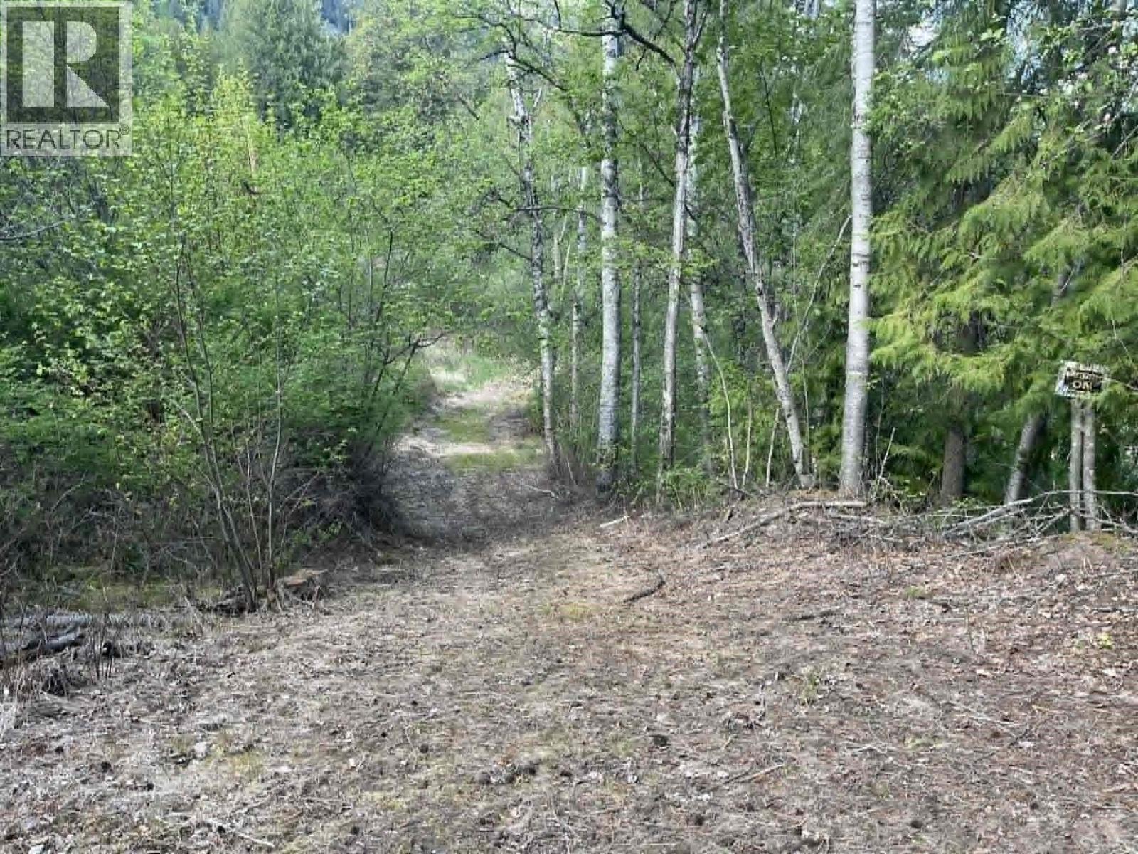4421 Slocan River Road - 22
