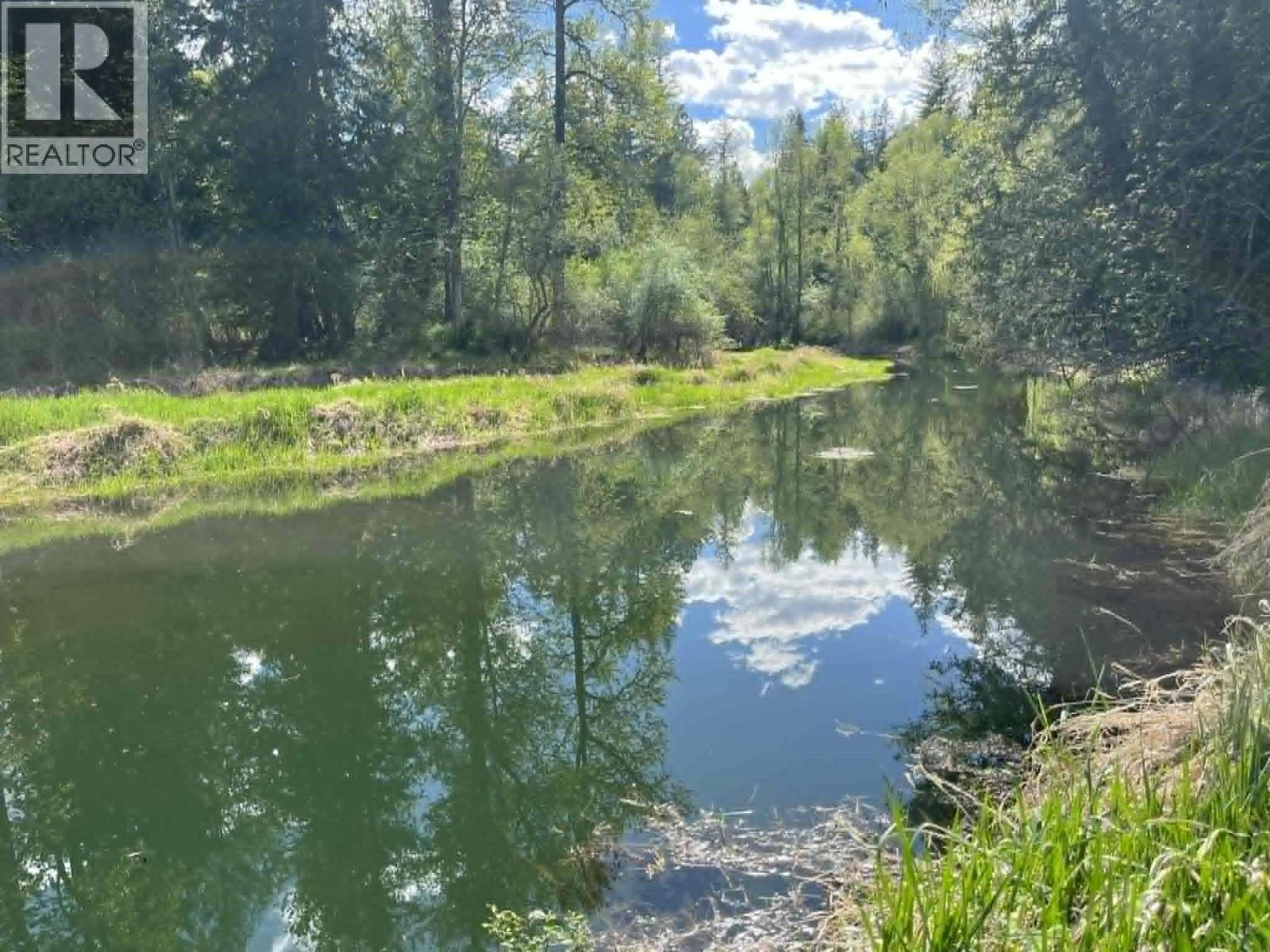 4421 Slocan River Road - 18