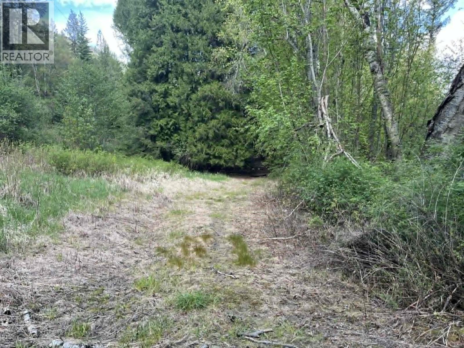 4421 Slocan River Road - 21