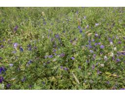 Twp Rd 534 And Hwy 43, Rural Parkland County, AB T0E1V0 Photo 8