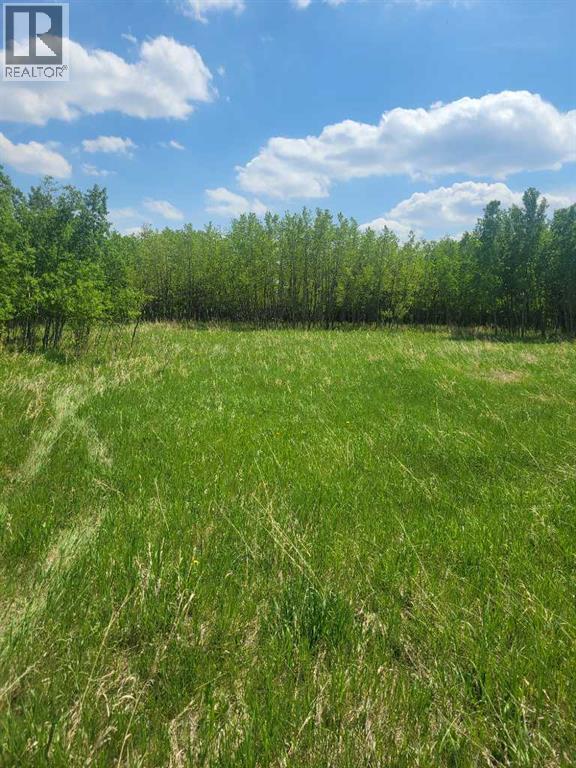 24166 Old Banff Coach Road - Photo 7
