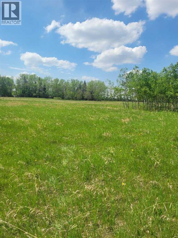 24166 Old Banff Coach Road - Photo 5