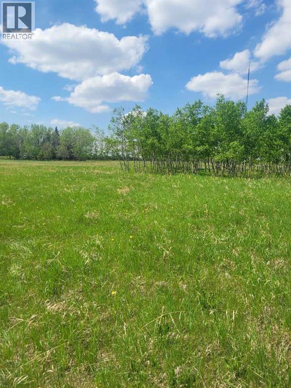 24166 Old Banff Coach Road - Photo 6