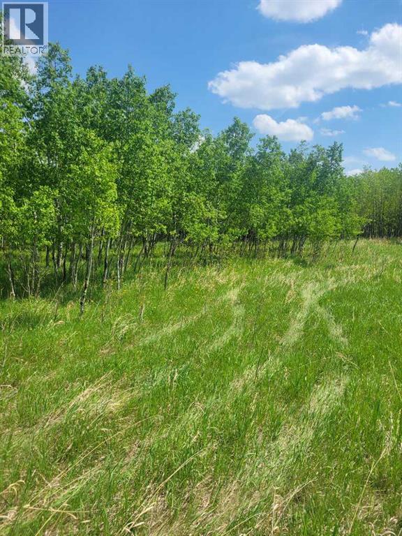24166 Old Banff Coach Road - Photo 8
