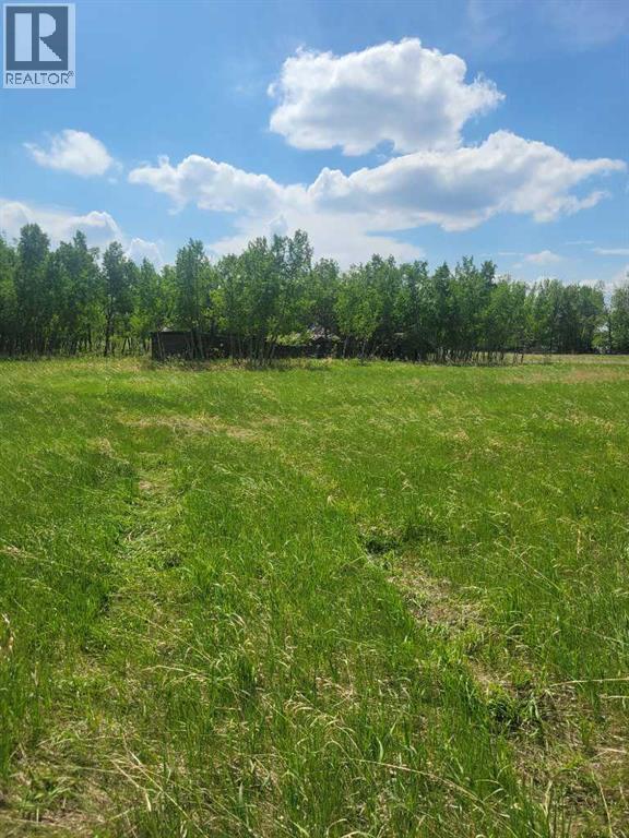 24166 Old Banff Coach Road - Photo 9