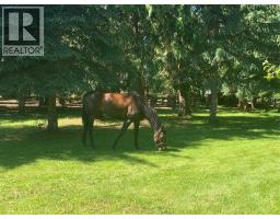 187 Sugar Lake Road, Cherryville, BC V0E2G2 Photo 21