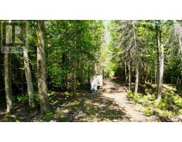 174 Cape Hurd Road, Northern Bruce Peninsula, ON N0H2R0 Photo 41