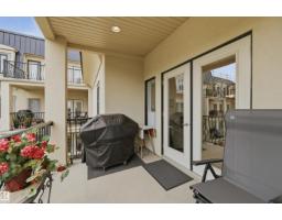 #338 1406 Hodgson Wy Nw, Edmonton, AB T6R3K1 Photo 22