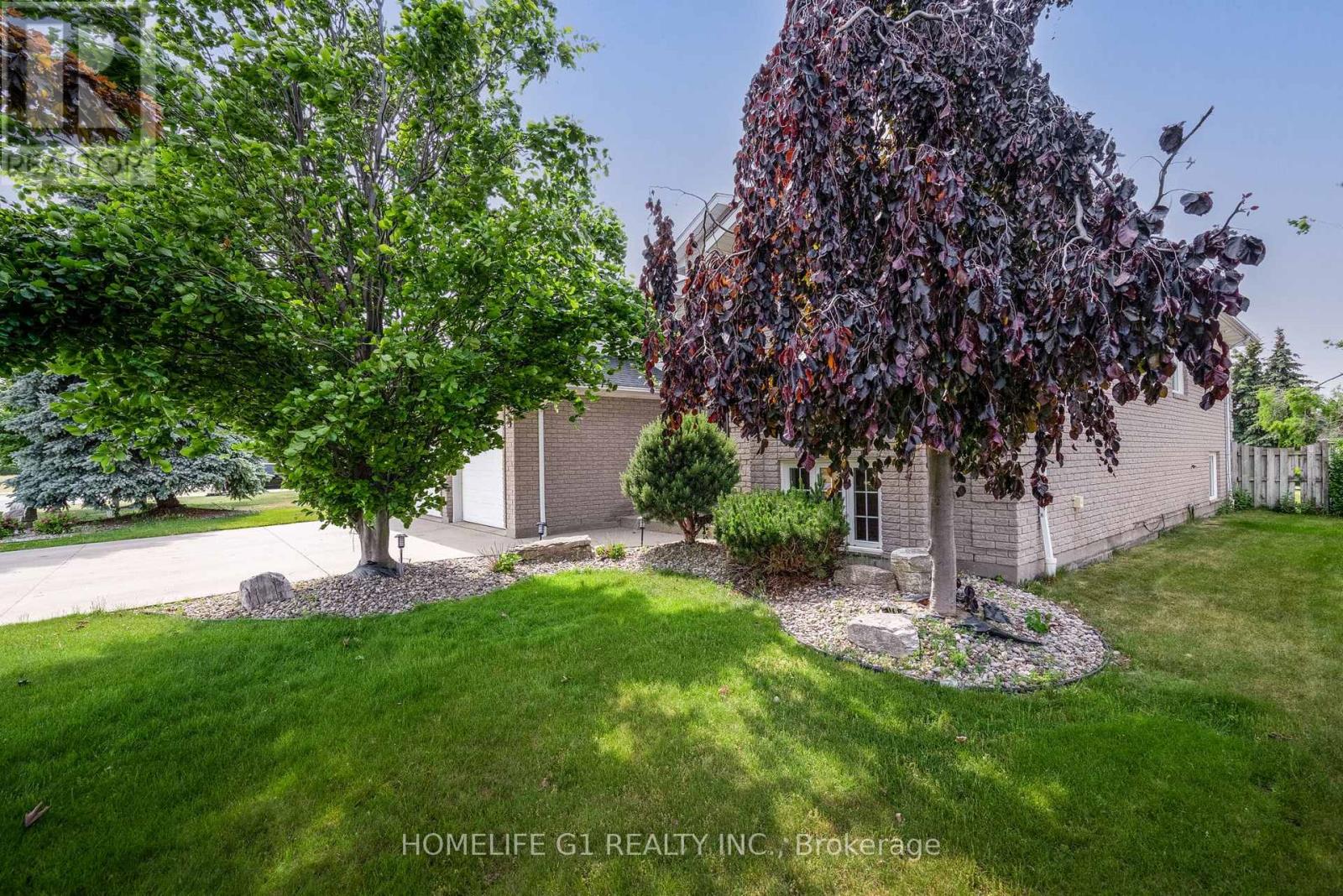 165 ELLISON AVENUE - 3