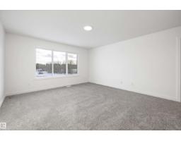 1315 11 Av Nw, Edmonton, AB T6T2W3 Photo 45