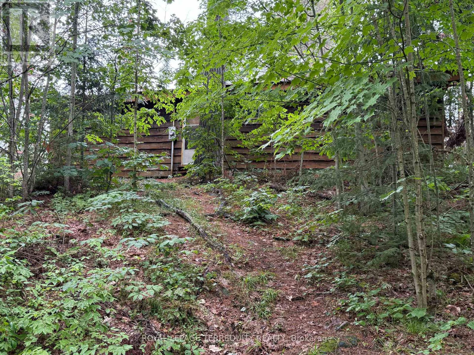 1097 SWIRLINGLEAVES LANE - 2
