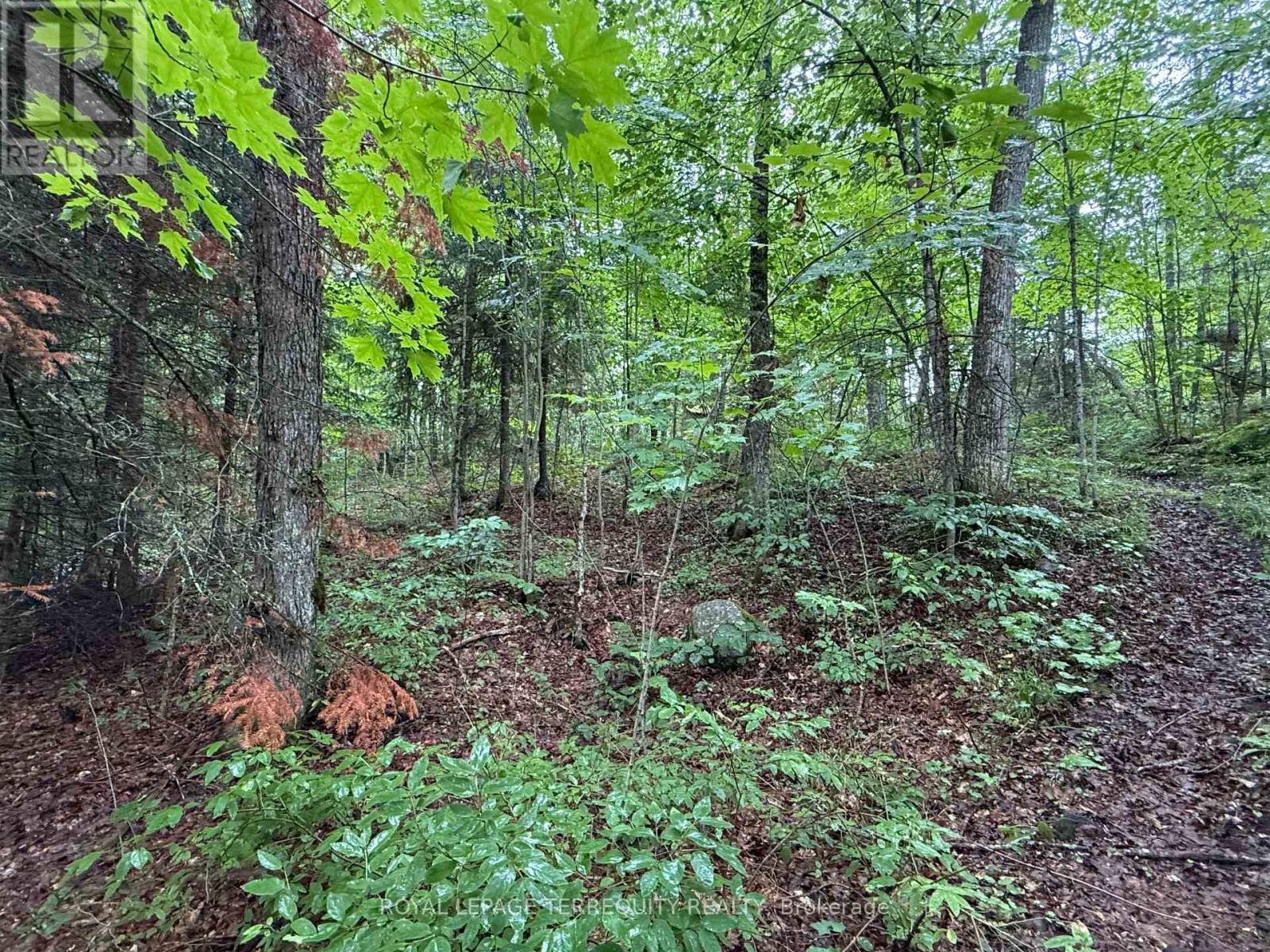 1097 SWIRLINGLEAVES LANE - 29