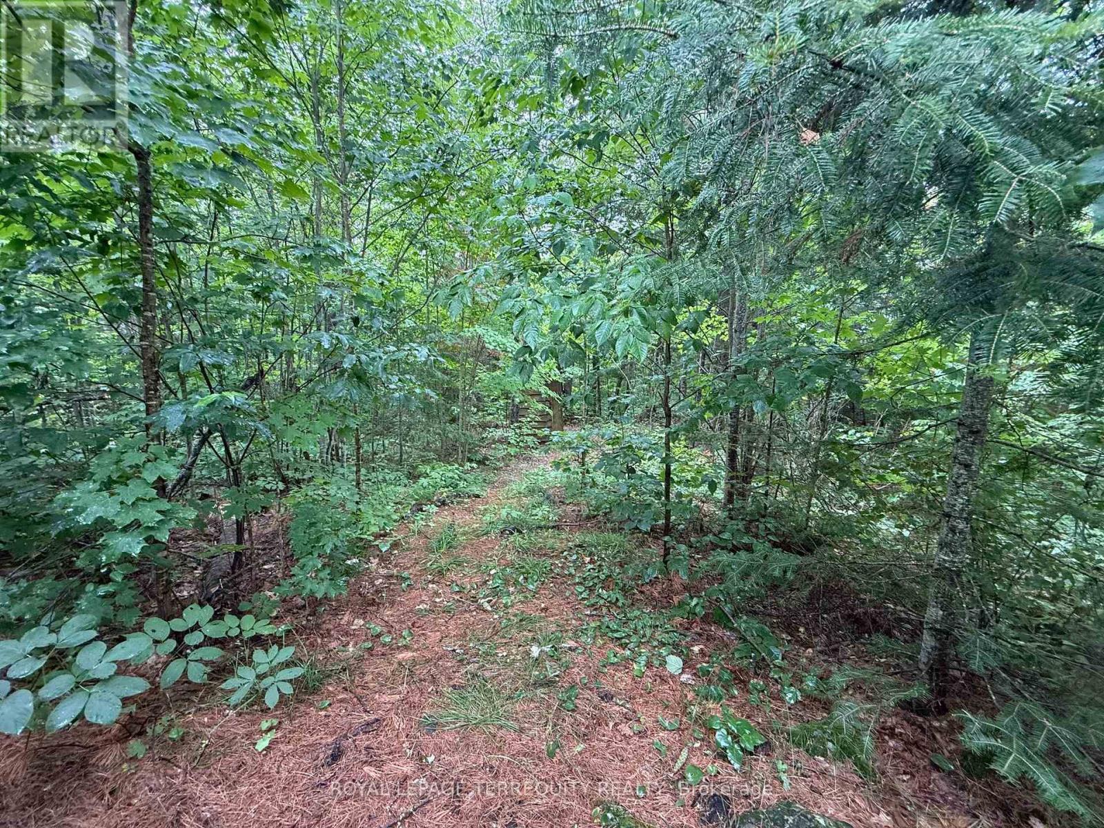 1097 SWIRLINGLEAVES LANE - 32