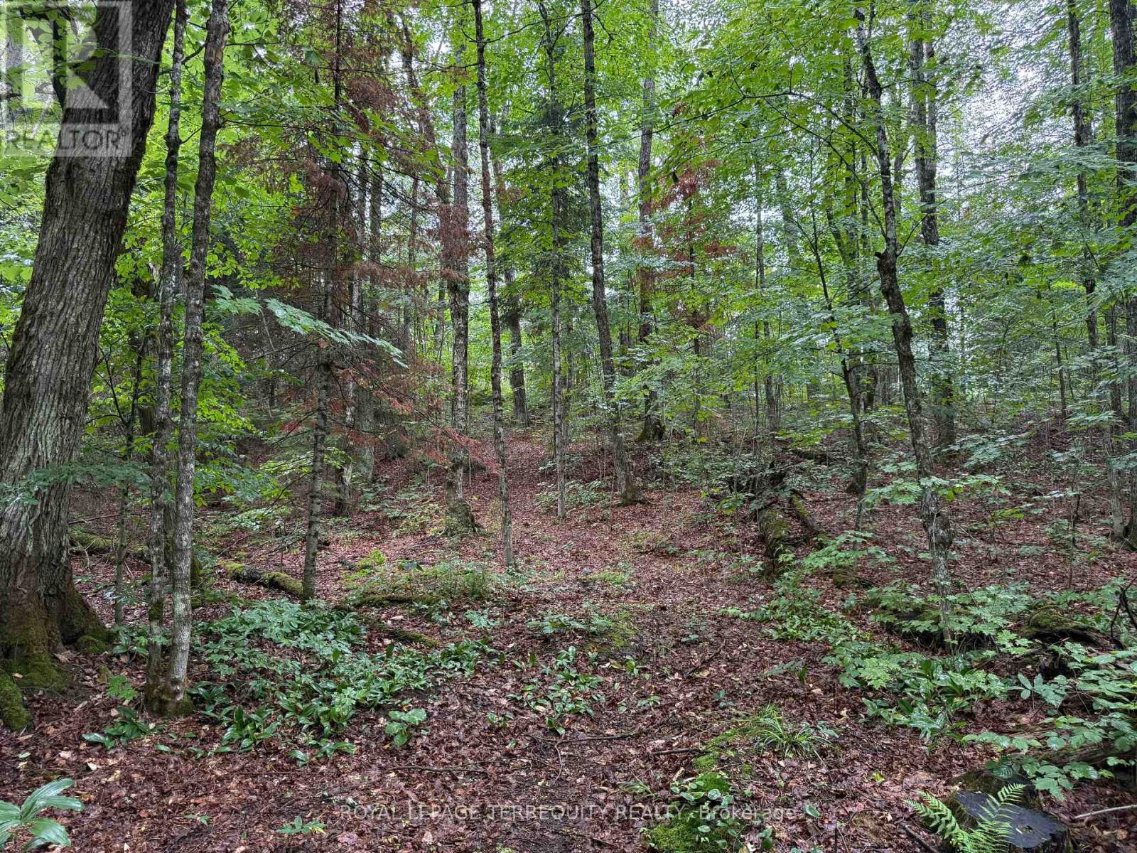 1097 SWIRLINGLEAVES LANE - 28